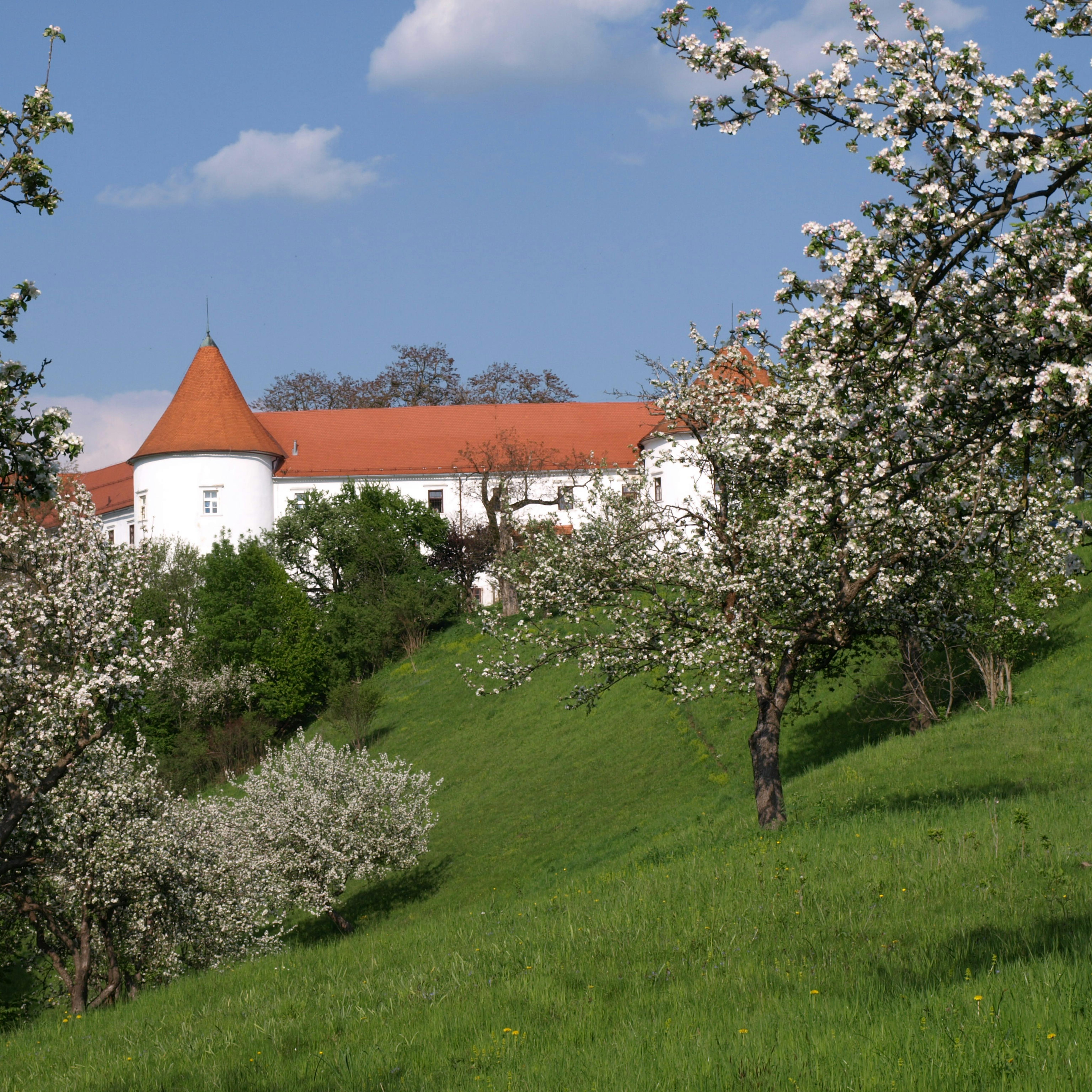 Hrastovec Castle
